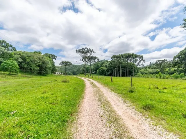 Imagem 10: Chácara com 899Mil M² À Venda em Campo Largo!