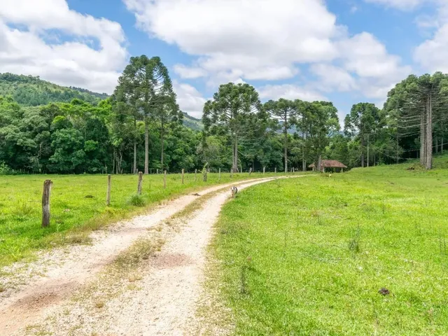 Imagem 5: Chácara com 899Mil M² À Venda em Campo Largo!