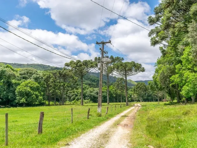 Imagem 14: Chácara com 899Mil M² À Venda em Campo Largo!