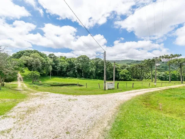 Imagem 2: Chácara com 899Mil M² À Venda em Campo Largo!