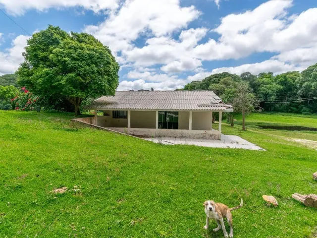 Imagem 3: Chácara com 899Mil M² À Venda em Campo Largo!