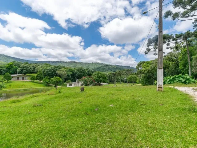 Imagem 11: Chácara com 899Mil M² À Venda em Campo Largo!