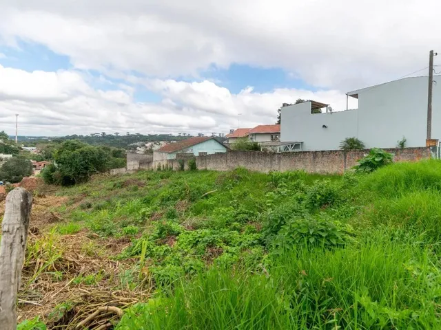 Imagem 4: Terreno com 720M² À Venda no Aparecida