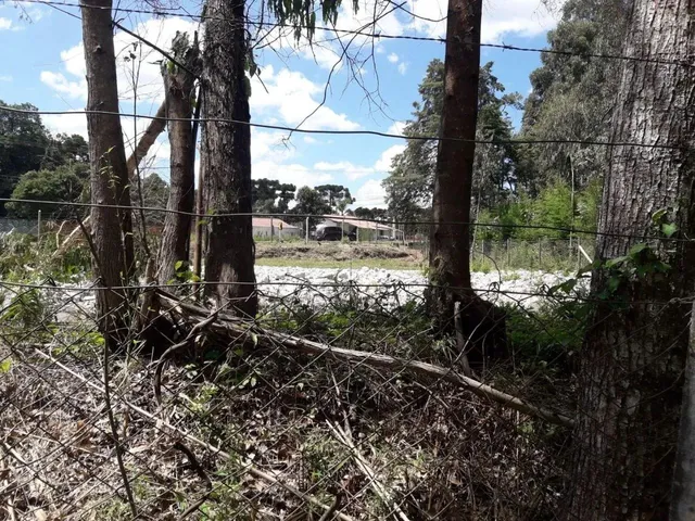 Imagem 3: Terreno À Venda, Vila Guarani , Colombo - Pr