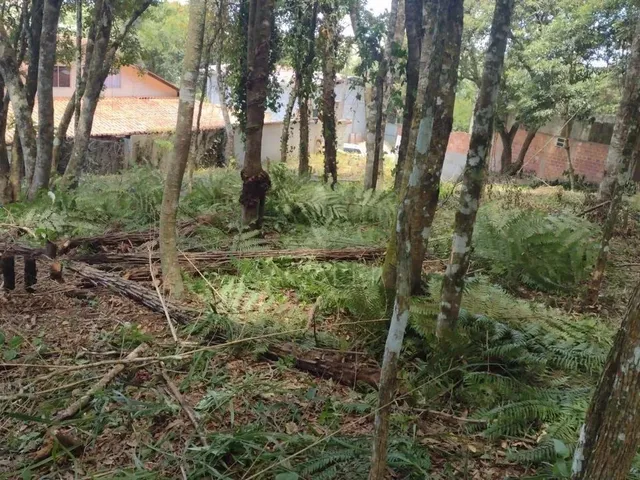 Imagem 5: Terreno À Venda, Vila Guarani , Colombo - Pr
