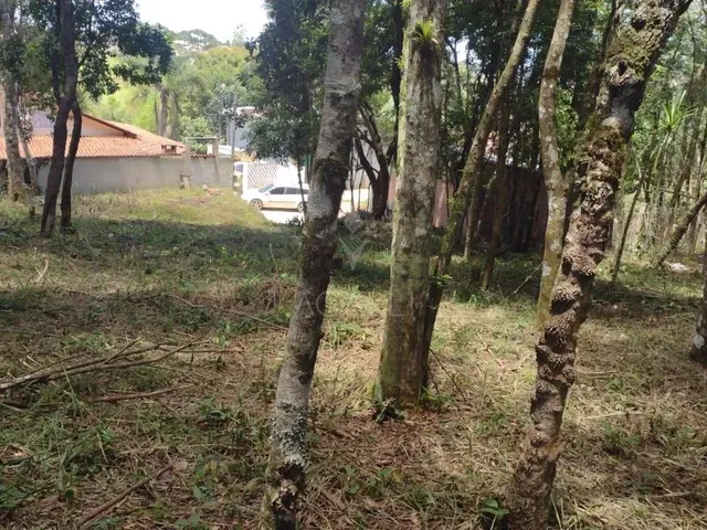 Imagem 7: Terreno À Venda, Vila Guarani , Colombo - Pr