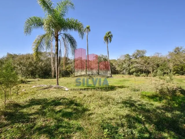 Imagem 10: Chácara em Quitandinha com 13.000 M2