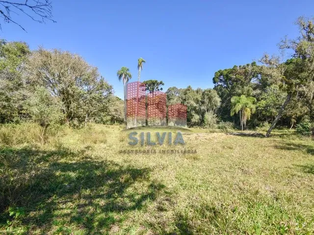 Imagem 8: Chácara em Quitandinha com 13.000 M2