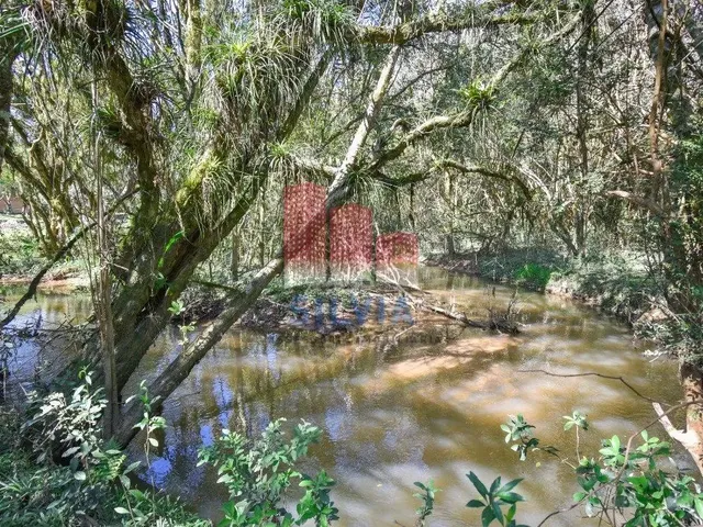 Imagem 11: Chácara em Quitandinha com 13.000 M2