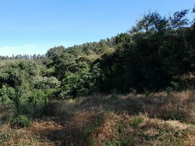 Imagem: Área Rural 7,72 Alqueires - 3 Barras de