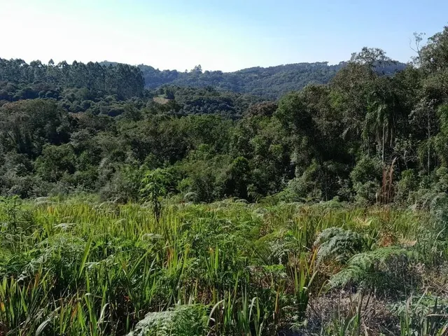 Imagem 9: Área Rural 7,72 Alqueires - 3 Barras de Cima!