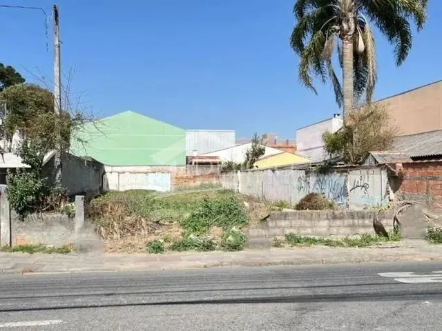 Imagem 6: Terreno - Afonso Pena