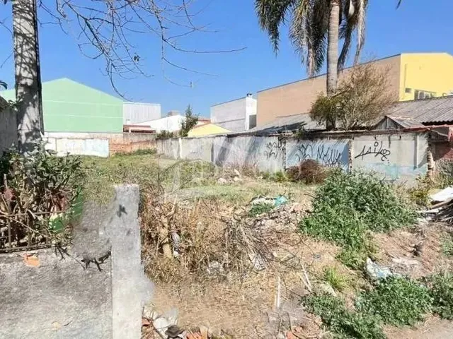 Imagem 3: Terreno - Afonso Pena