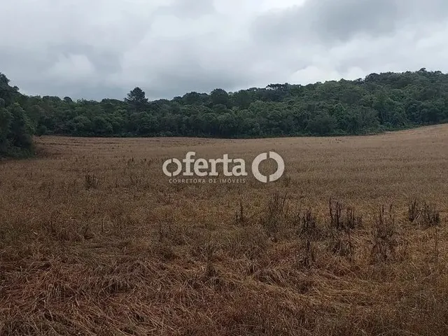 Imagem 6: Fazenda/Terreno na Lapa 22,5 Alqueires