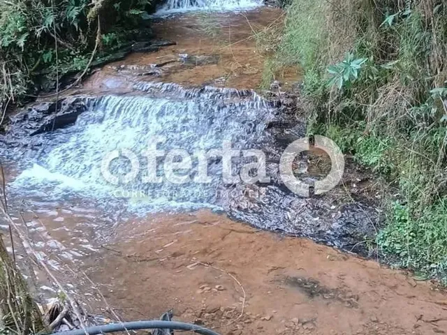Imagem 5: Fazenda/Terreno na Lapa 22,5 Alqueires