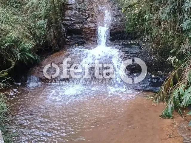 Imagem 7: Fazenda/Terreno na Lapa 22,5 Alqueires