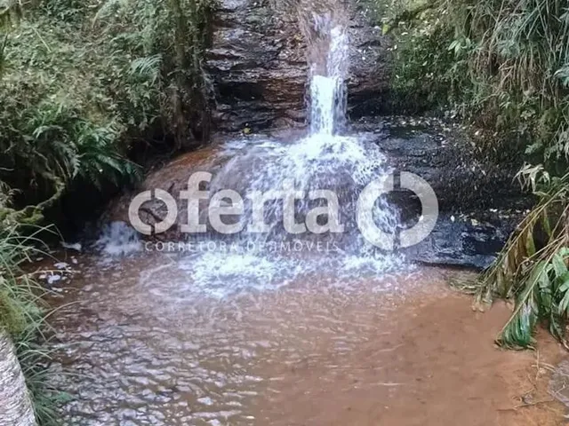 Imagem 4: Fazenda/Terreno na Lapa 22,5 Alqueires