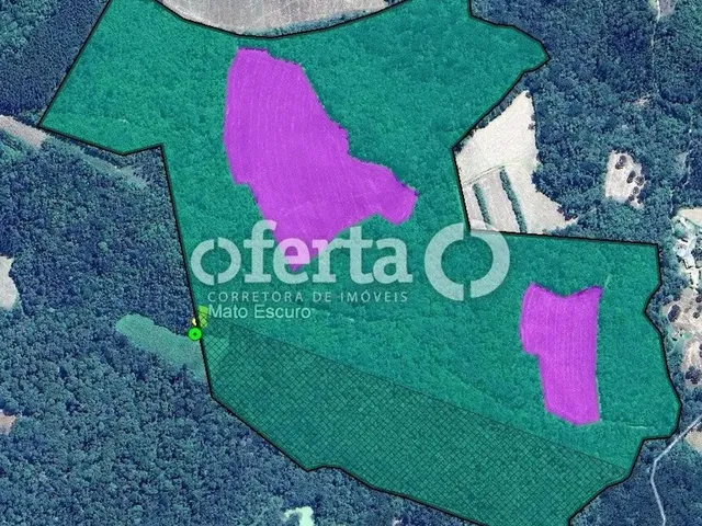 Imagem 2: Fazenda/Terreno na Lapa 22,5 Alqueires