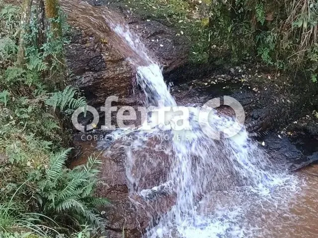 Imagem 3: Fazenda/Terreno na Lapa 22,5 Alqueires