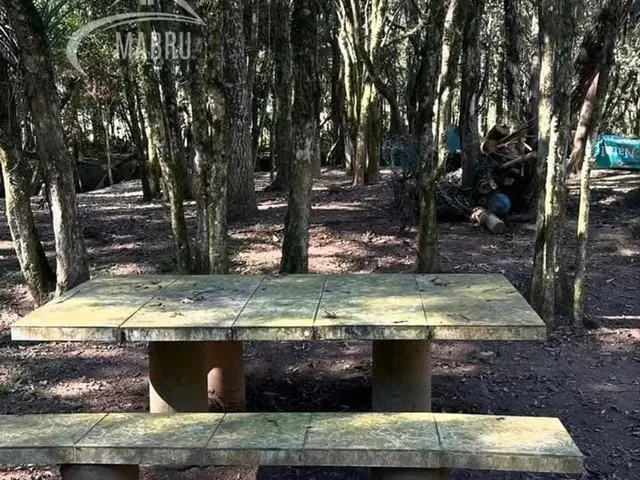 Imagem 3: Chácara À Venda com 3 Dormitórios em Mineiros, Balsa Nova Cod:46