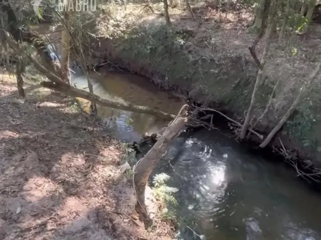 Imagem 7: Chácara À Venda com 3 Dormitórios em Mineiros, Balsa Nova Cod:46