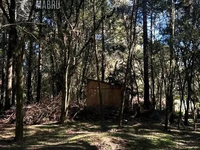 Imagem 10: Chácara À Venda com 3 Dormitórios em Mineiros, Balsa Nova Cod:46