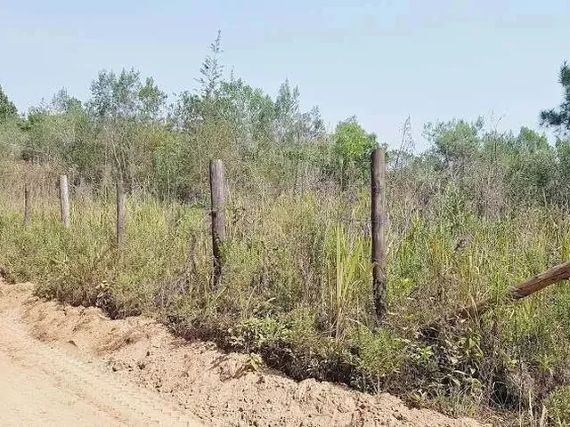 Imagem 7: Área Rural 5 Alqueires - 3 Barras de Cima - Bateias!