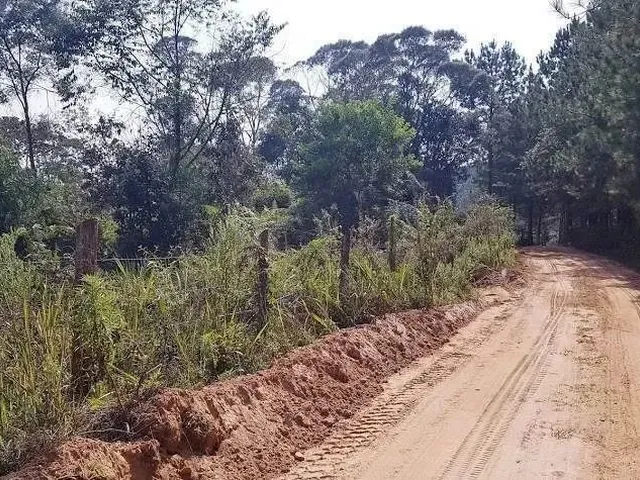 Imagem 9: Área Rural 5 Alqueires - 3 Barras de Cima - Bateias!