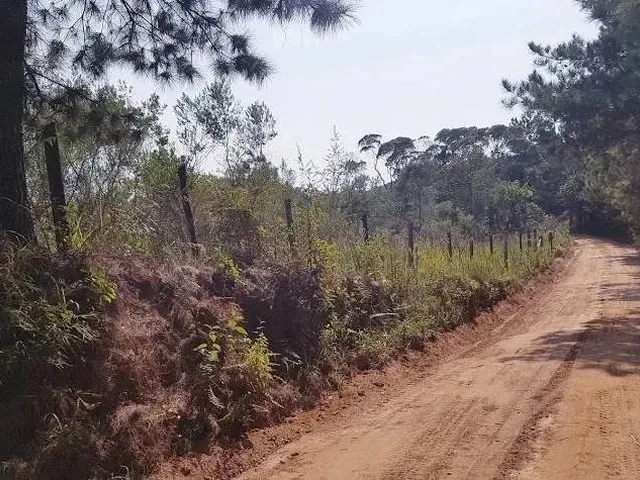 Imagem 4: Área Rural 5 Alqueires - 3 Barras de Cima - Bateias!
