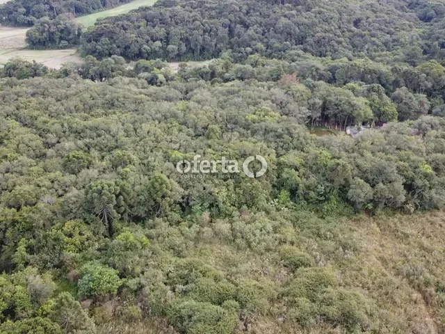 Imagem 1: Chácara em Araucária / Camundá