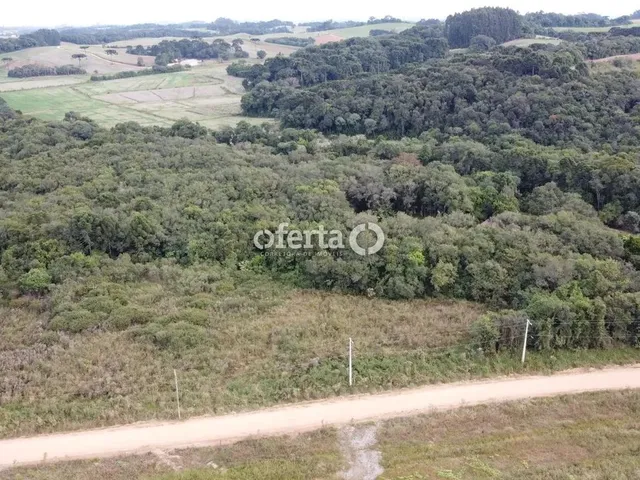 Imagem 4: Chácara em Araucária / Camundá