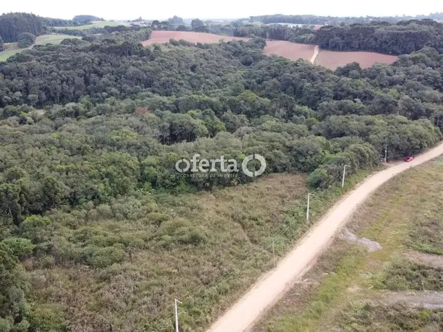 Imagem 5: Chácara em Araucária / Camundá