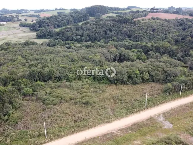 Imagem 6: Chácara em Araucária / Camundá