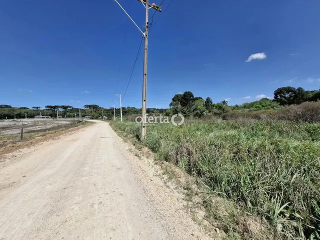 Imagem 12: Chácara em Araucária / Camundá