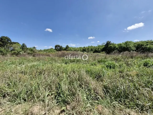 Imagem 13: Chácara em Araucária / Camundá