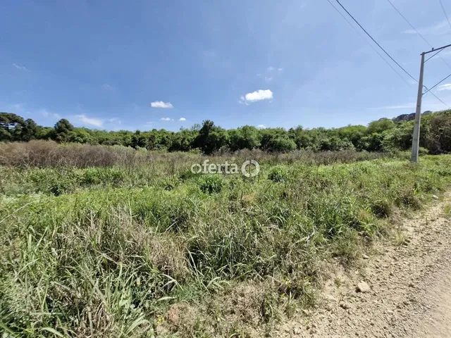 Imagem 3: Chácara em Araucária / Camundá