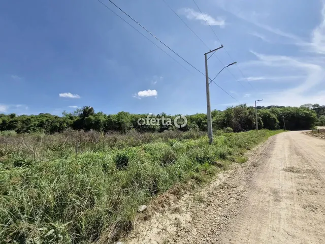 Imagem 14: Chácara em Araucária / Camundá