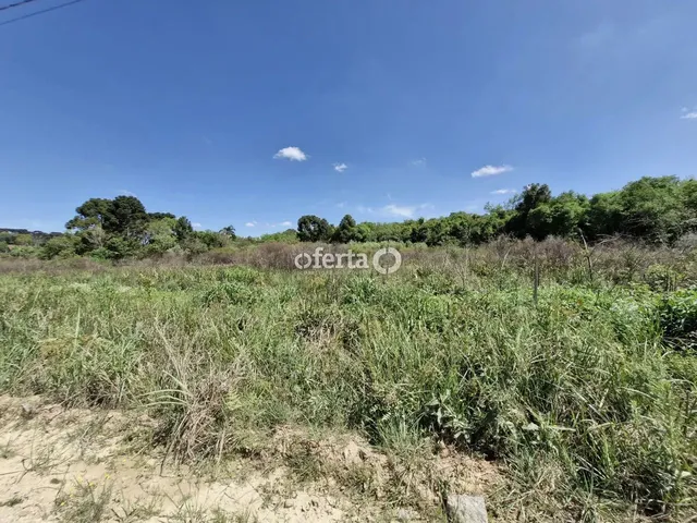 Imagem 9: Chácara em Araucária / Camundá