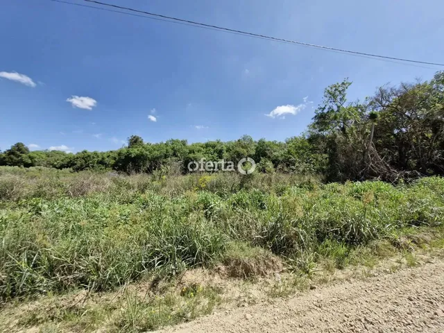 Imagem 2: Chácara em Araucária / Camundá