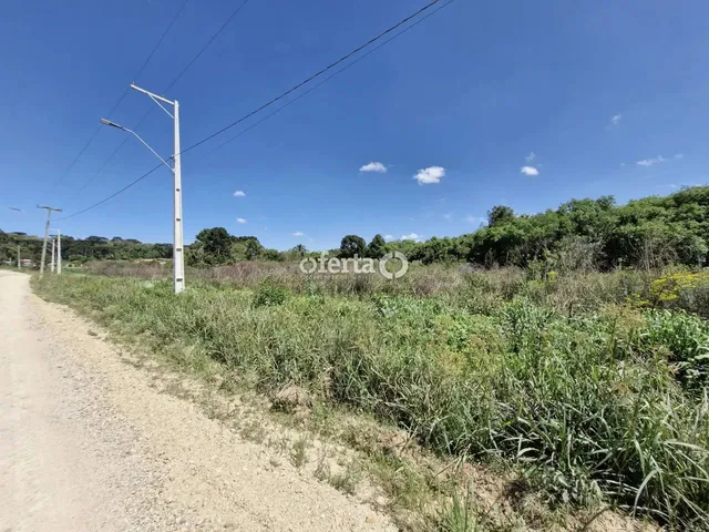 Imagem 8: Chácara em Araucária / Camundá