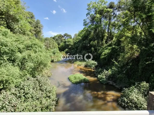 Imagem 15: Chácara em Araucária / Camundá