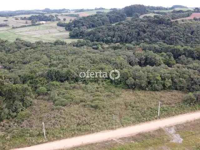 Imagem 16: Chácara em Araucária / Camundá