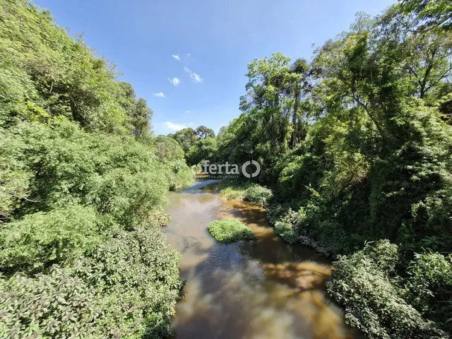 Imagem 10: Chácara em Araucária / Camundá