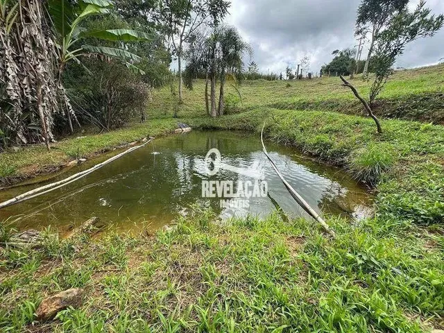 Imagem: Chácara com Bosque, Tanque de Peixes, Área