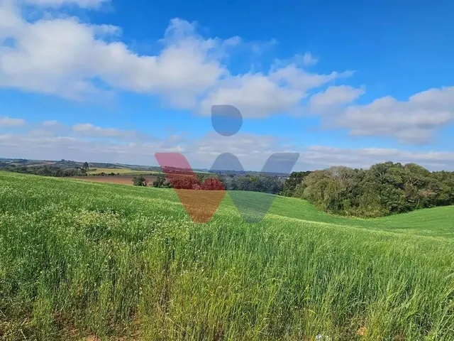 Imagem: Chácara 20.000M em Araucária Frente Asfalto