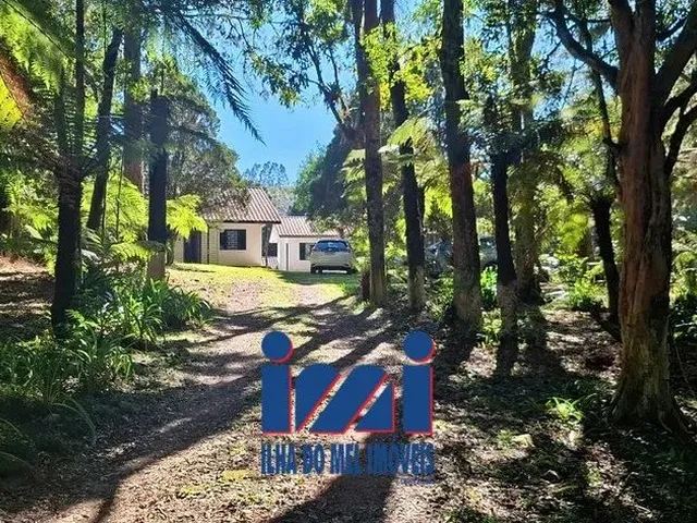 Imagem 6: Chácara a Venda em Mandirituba