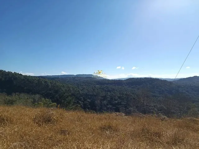 Imagem: Chácara Campo Largo 27.000M²