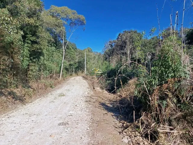 Imagem 5: Chácara Campo Largo 27.000M²