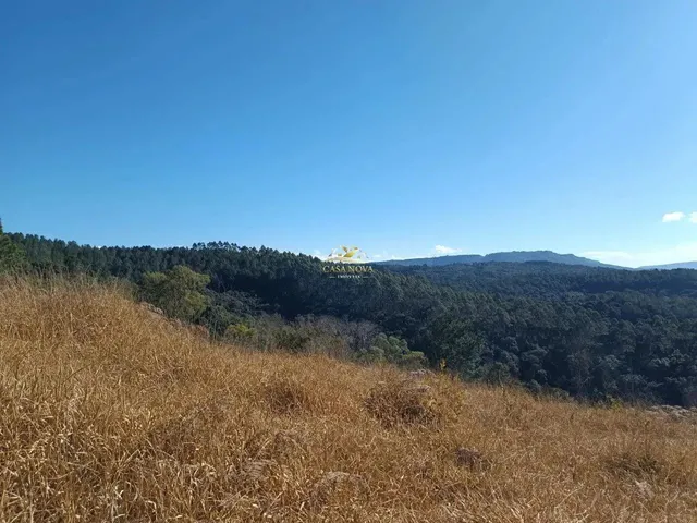 Imagem 4: Chácara Campo Largo 27.000M²