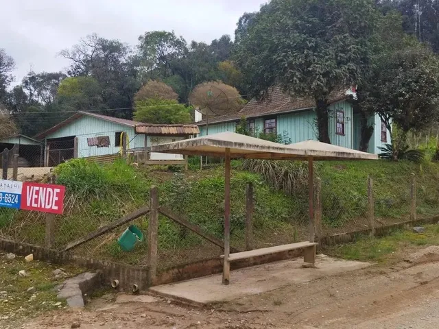 Imagem: Chácara Formada Campo Magro 56.000² Ou